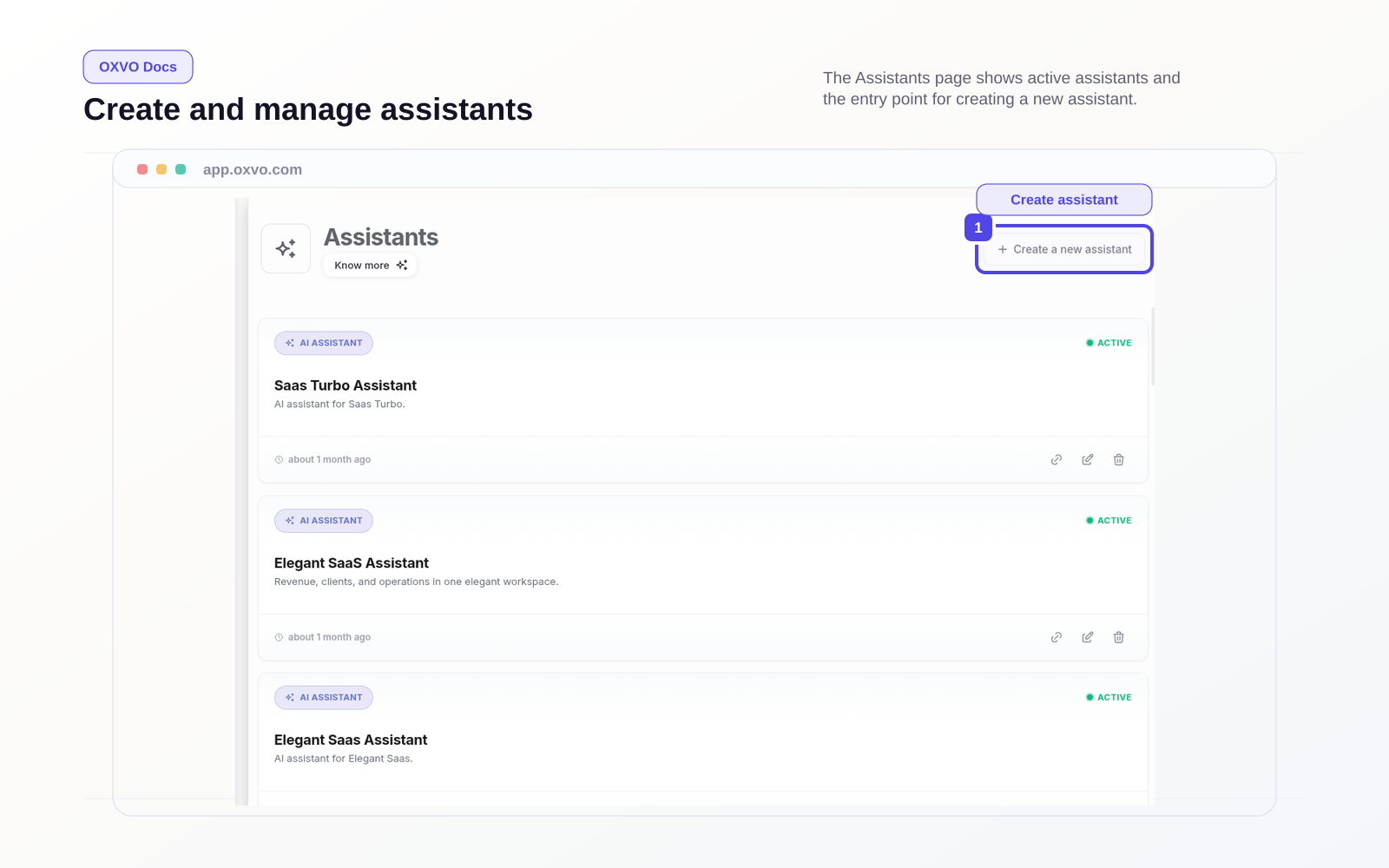 Assistant setup and editing view